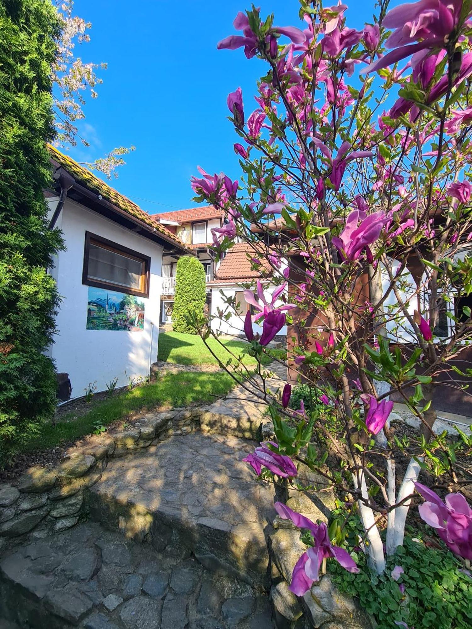 Casa Bonita Saliste Saliste (Sibiu) Exterior foto